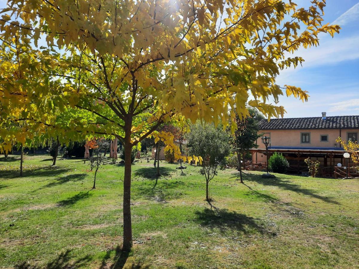 Sassomatto B&B Bioagriturelax Campogialli Dış mekan fotoğraf