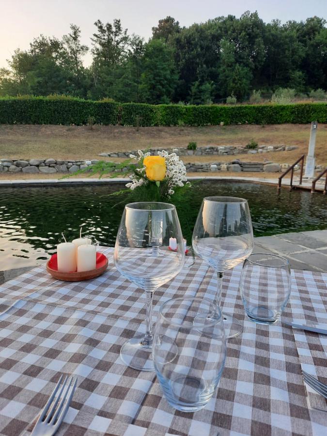 Sassomatto B&B Bioagriturelax Campogialli Dış mekan fotoğraf