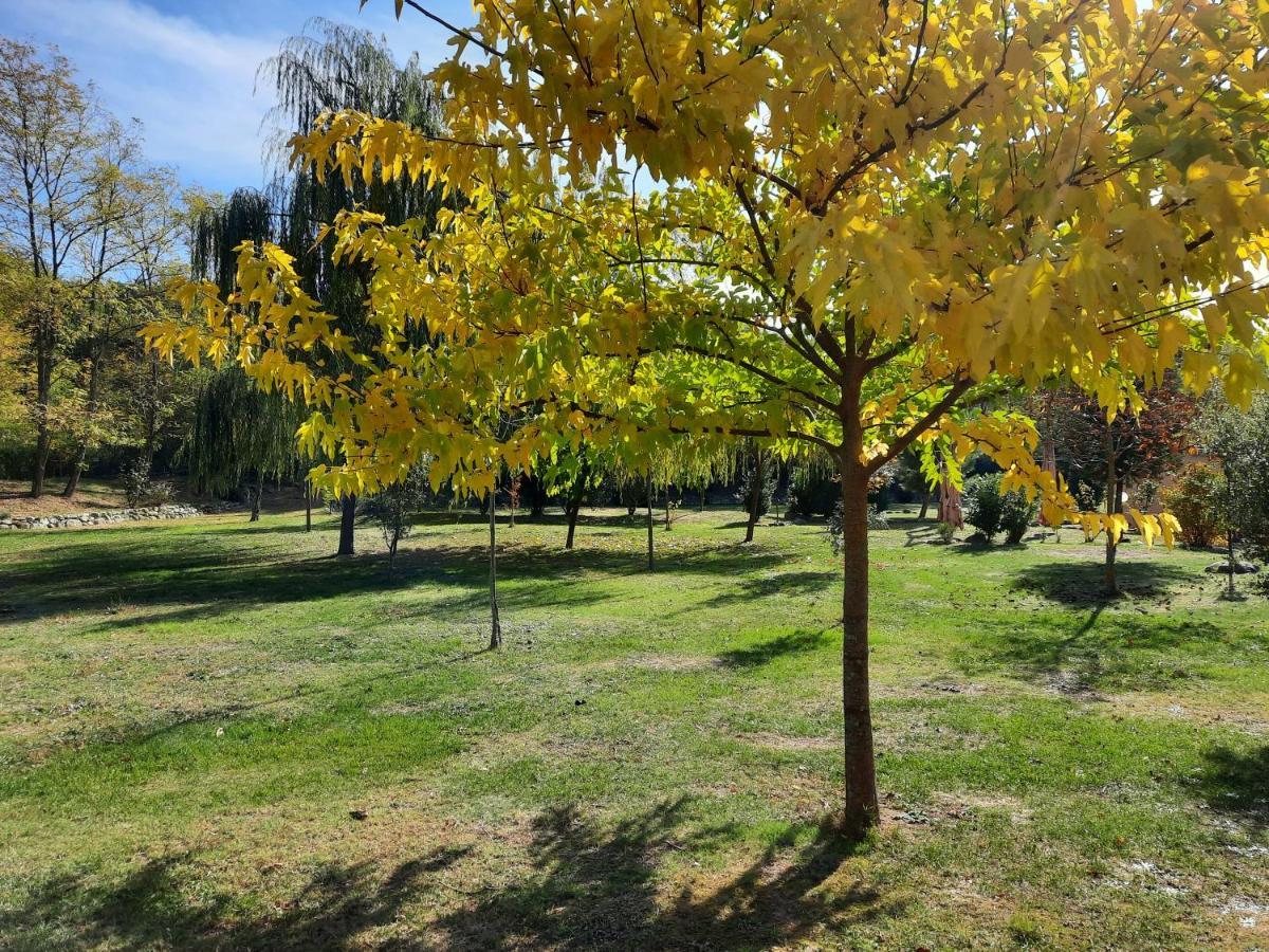 Sassomatto B&B Bioagriturelax Campogialli Dış mekan fotoğraf